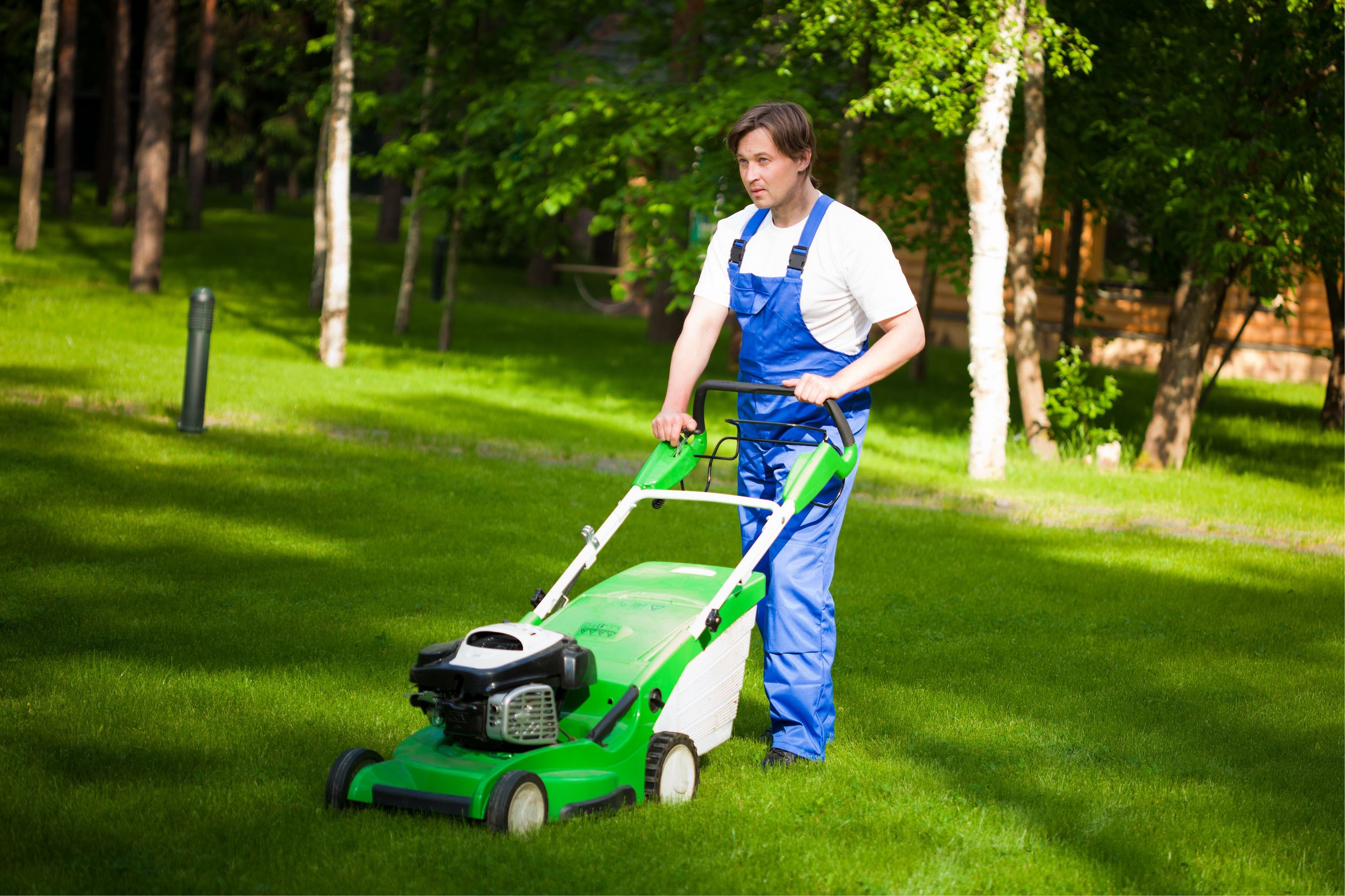 The Advantages of Professional Lawn Care in Morris County NJ