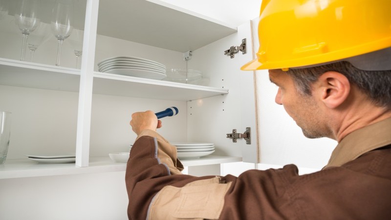 Dependable And Affordable Exterminator In Minnetonka