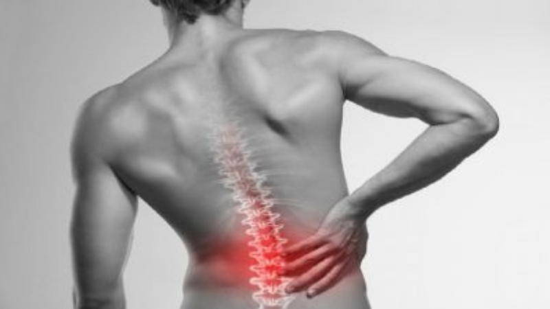 The Benefits of Chiropractic Care in Fort Collins, CO