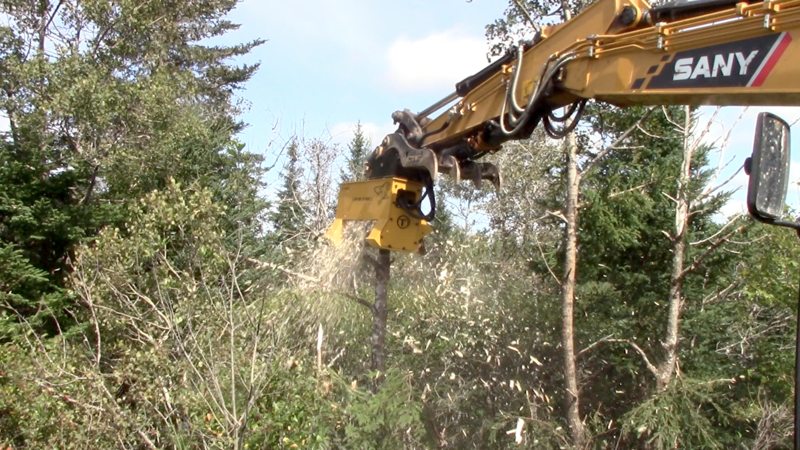 When to Pull Out the Mini Excavator Forestry Mulcher