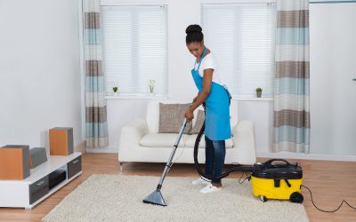 Companies Offering Commercial Carpet Cleaning in Thornton, CO, Work with All Types of Customers