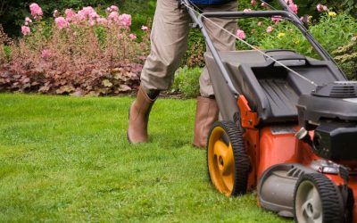 Transform Your Lawn Into A Stunning Landscape With Expert Lawn Fertilization in Omaha, NE