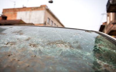 Best Auto Glass Company Near Sussex, WI – Fast, Reliable, and Affordable Windshield Repairs for a Safer, Clearer Drive!